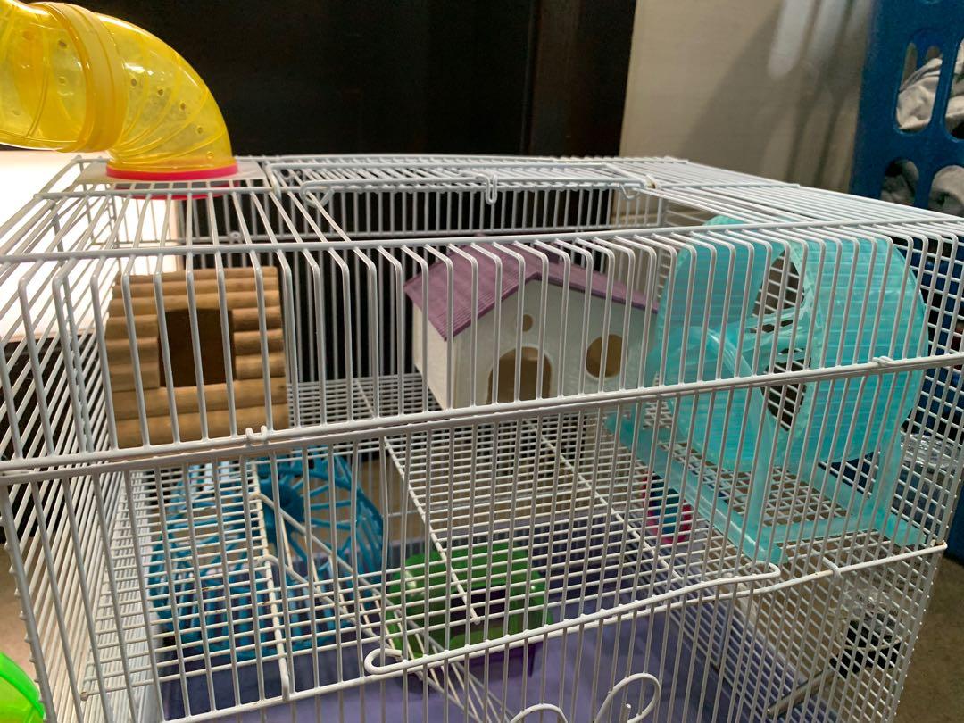 Hamster playground cage shop