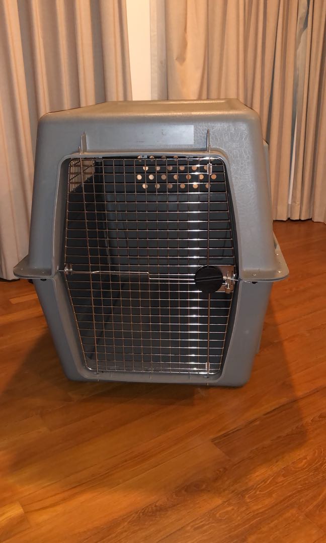 Xl IATA approved dog crate cannel, Pet Supplies, Homes & Other Pet