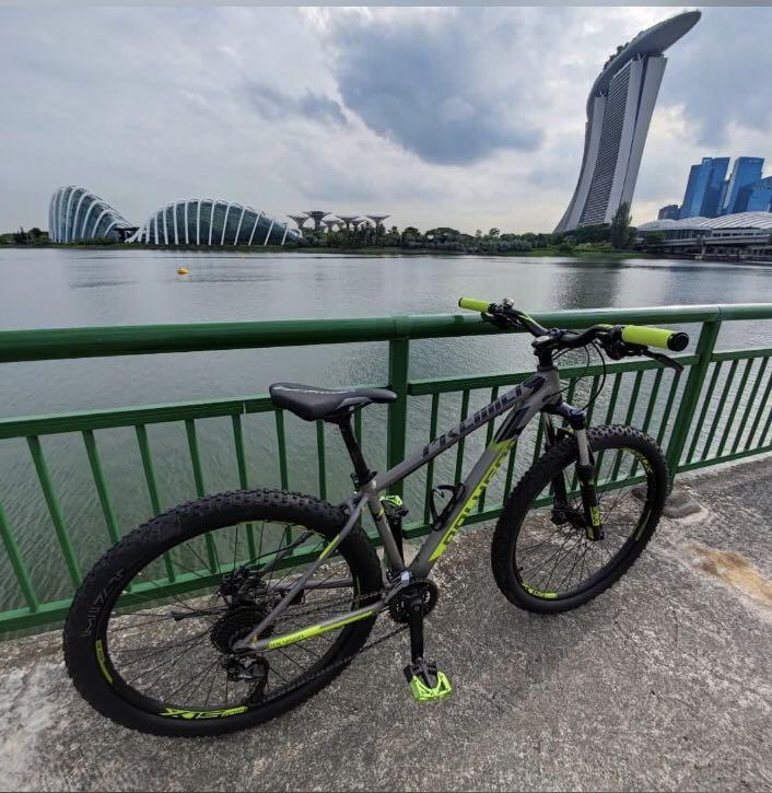 Polygon premier 5 27.5 clearance