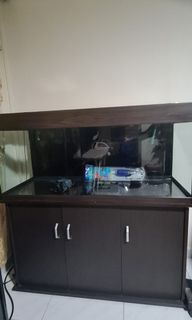 (Category: ) located in . Submitted by firrro (Listing ID 1089170726, Image 1). Description: .