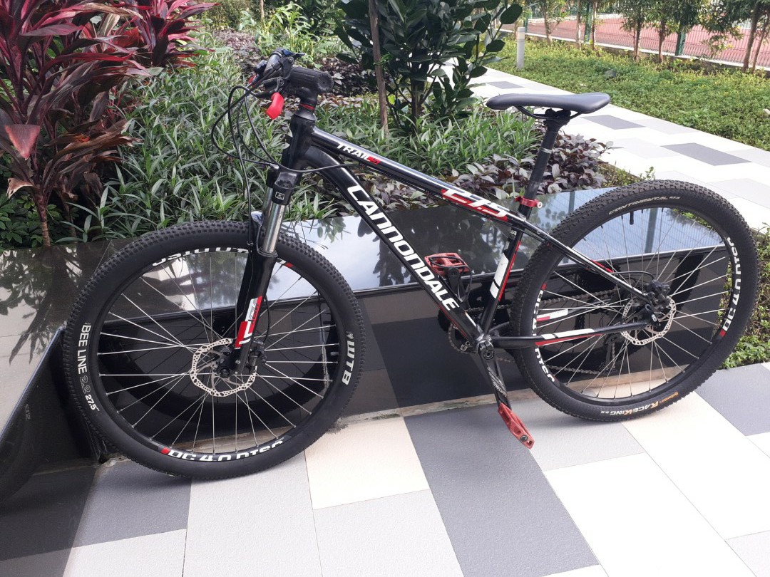 Cannondale trail 5 27.5 deals