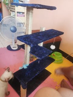 (Category: ) located in . Submitted by ninaylibunao (Listing ID 1089153676, Image 1). Description: .