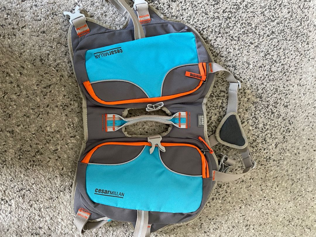 cesar millan backpack
