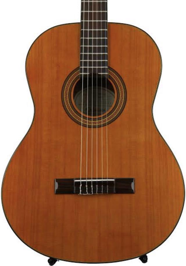 Epiphone Pro 1 Classical Guitar, Hobbies & Toys, Music & Media, CDs