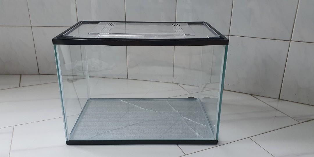 cracked aquarium glass