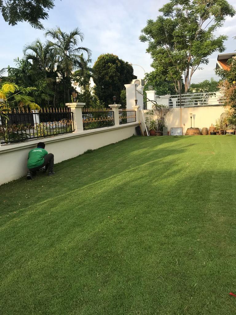 Grass cutting64884981893763110