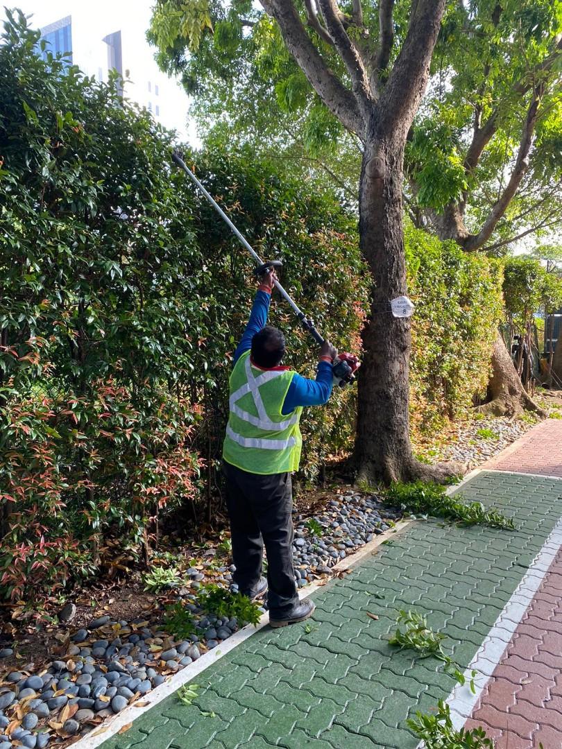 Grass cutting64884981893763111