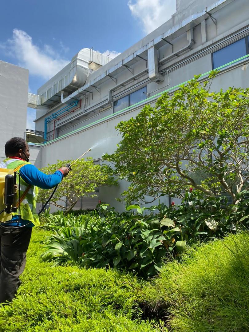 Grass cutting64884981893763113