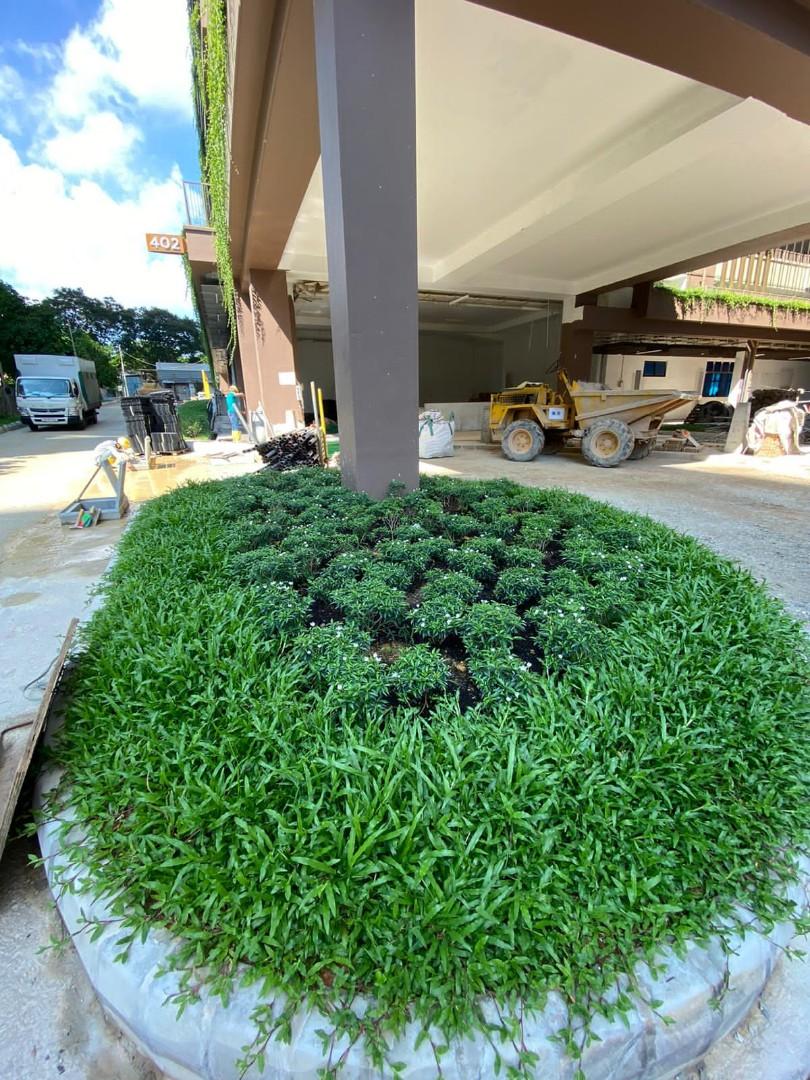 Grass cutting64884981893763114