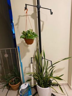 (Category: ) located in . Submitted by hootie (Listing ID 1089137128, Image 1). Description: .