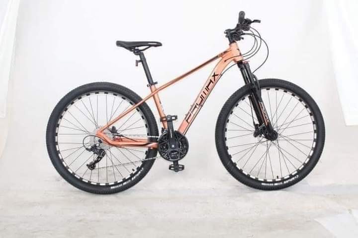 roadeo havoc 27.5
