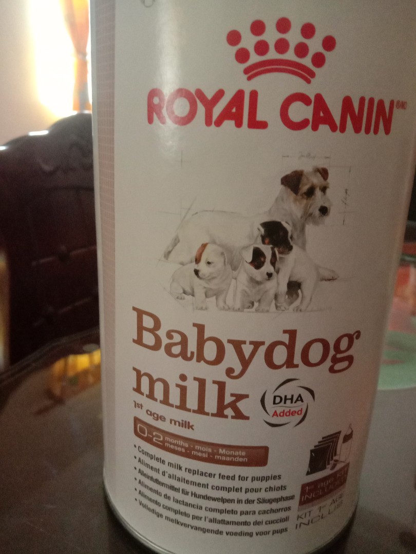 Royal Canin Babydog Milk 2 months 400g with Nursing Kit, Pet Supplies, Pet Food on Carousell