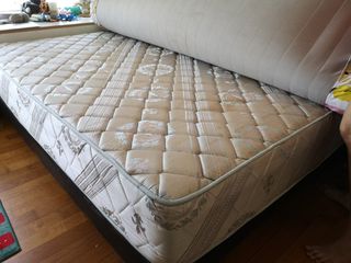 (Category: ) located in . Submitted by dt1155 (Listing ID 1089308490, Image 1). Description: .