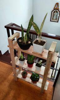 Wooden Plant Rack