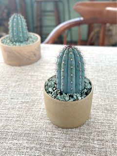 （分類：）位於 。 由 k.laplante 提交（商品編號 1089465095，圖片 1）。簡介： 。