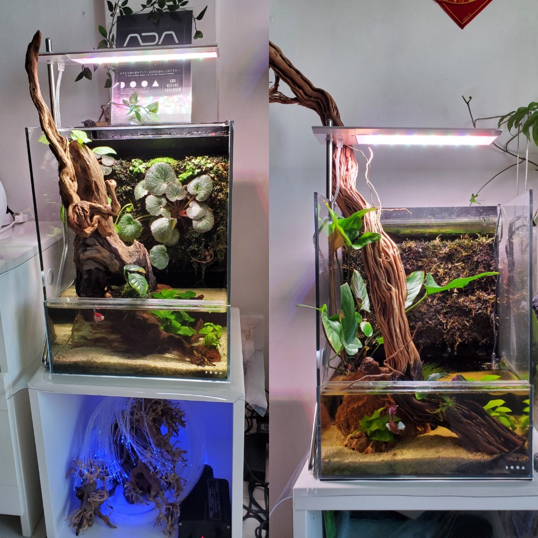 Ada aquarium supplies shop