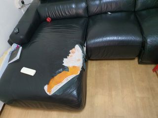 (Category: ) located in . Submitted by sales_by_pg (Listing ID 1089563613, Image 1). Description: .