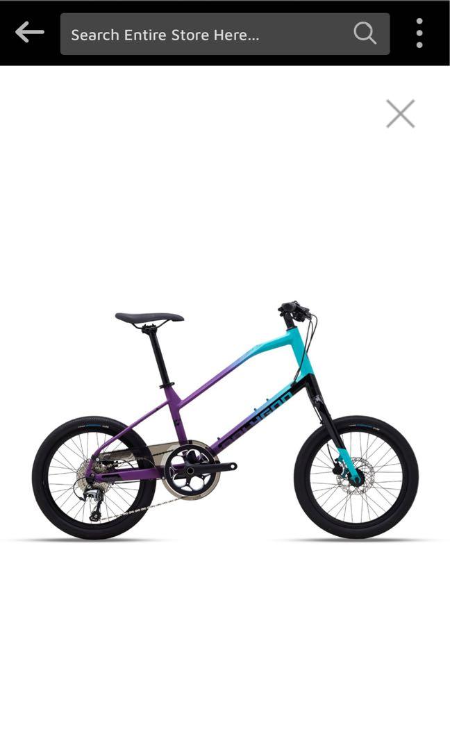 Minivelo polygon outlet