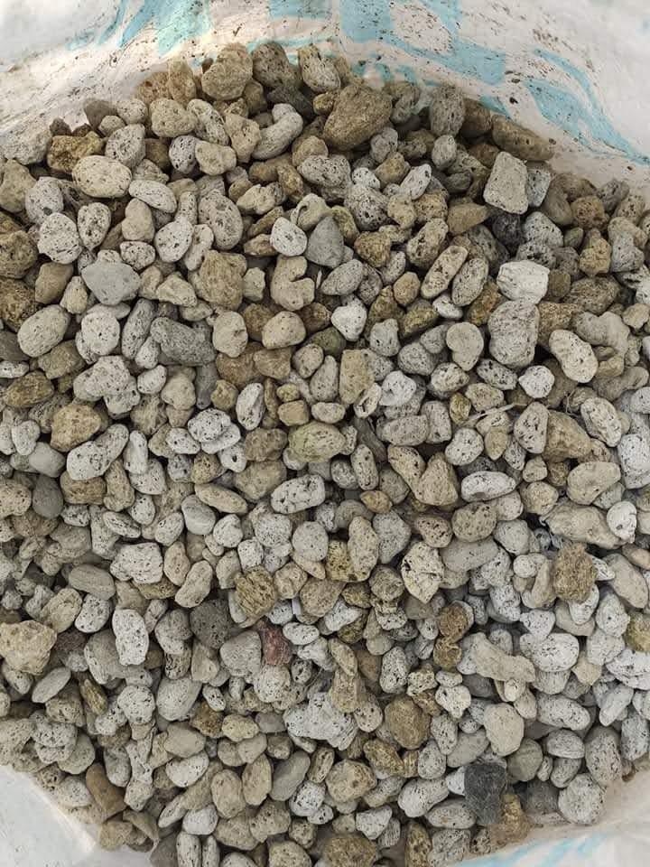 PUMICE STONES (Category: Pots & Planters) located in Pasig City. Submitted by krizzshh (Listing ID 1089367926, Image 1). Description: 200.00 per sack Monggo and corn size, matanghito available. 20 liters (15-20kg) per sack.