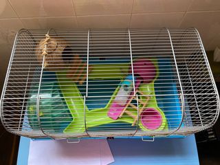 (Category: ) located in . Submitted by mamamab (Listing ID 1089378949, Image 1). Description: .