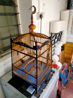 (Category: ) located in . Submitted by yuazah (Listing ID 1089404087, Image 1). Description: .