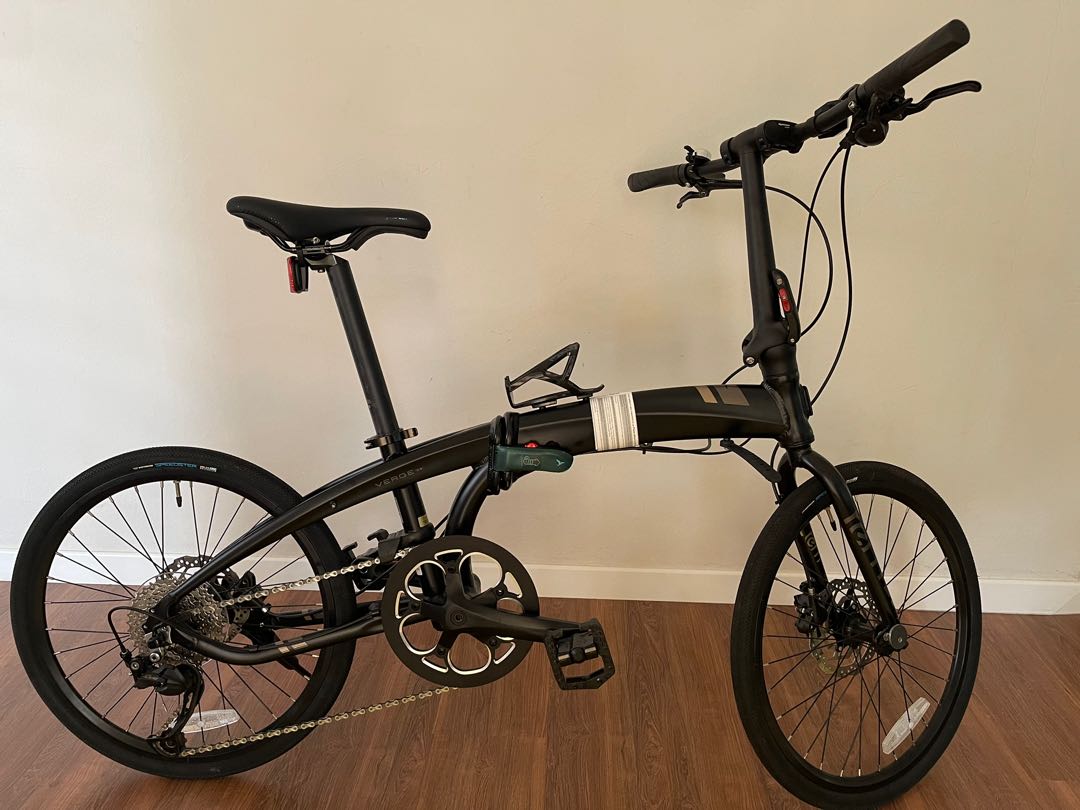 Verge 2025 d9 tern