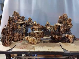 (Category: ) located in . Submitted by superaquarium (Listing ID 1089551384, Image 1). Description: .