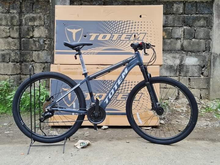 TOTEM FLEX 27.5