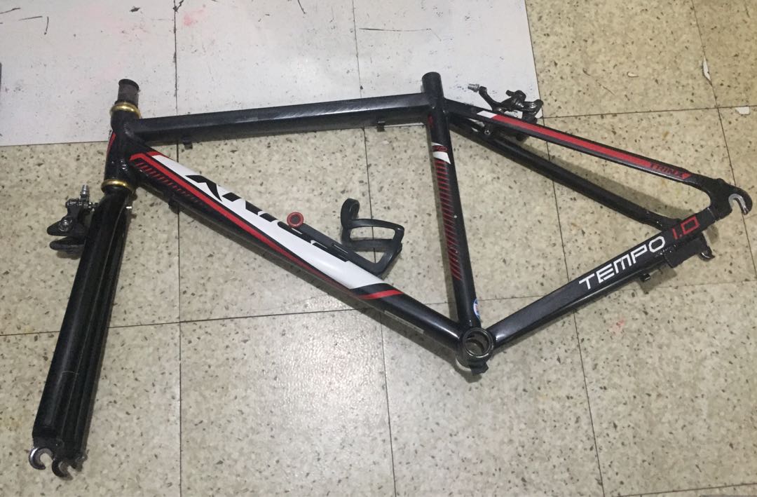 trinx tempo 1.0 frame size