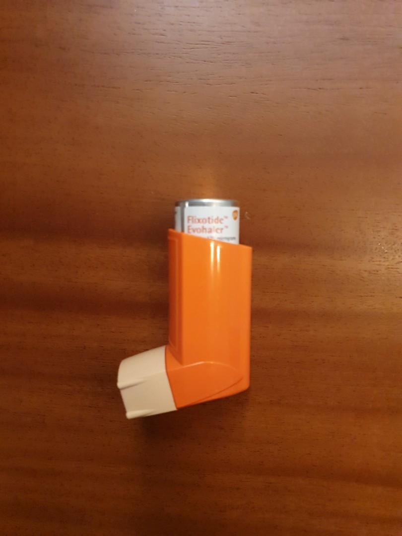 Aerodawg inhaler for asthmatic dogs and cats, Pet Supplies, Homes