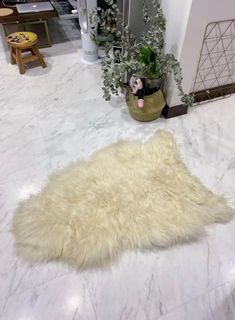 (Category: ) located in . Submitted by lalamoving (Listing ID 1089733322, Image 1). Description: .