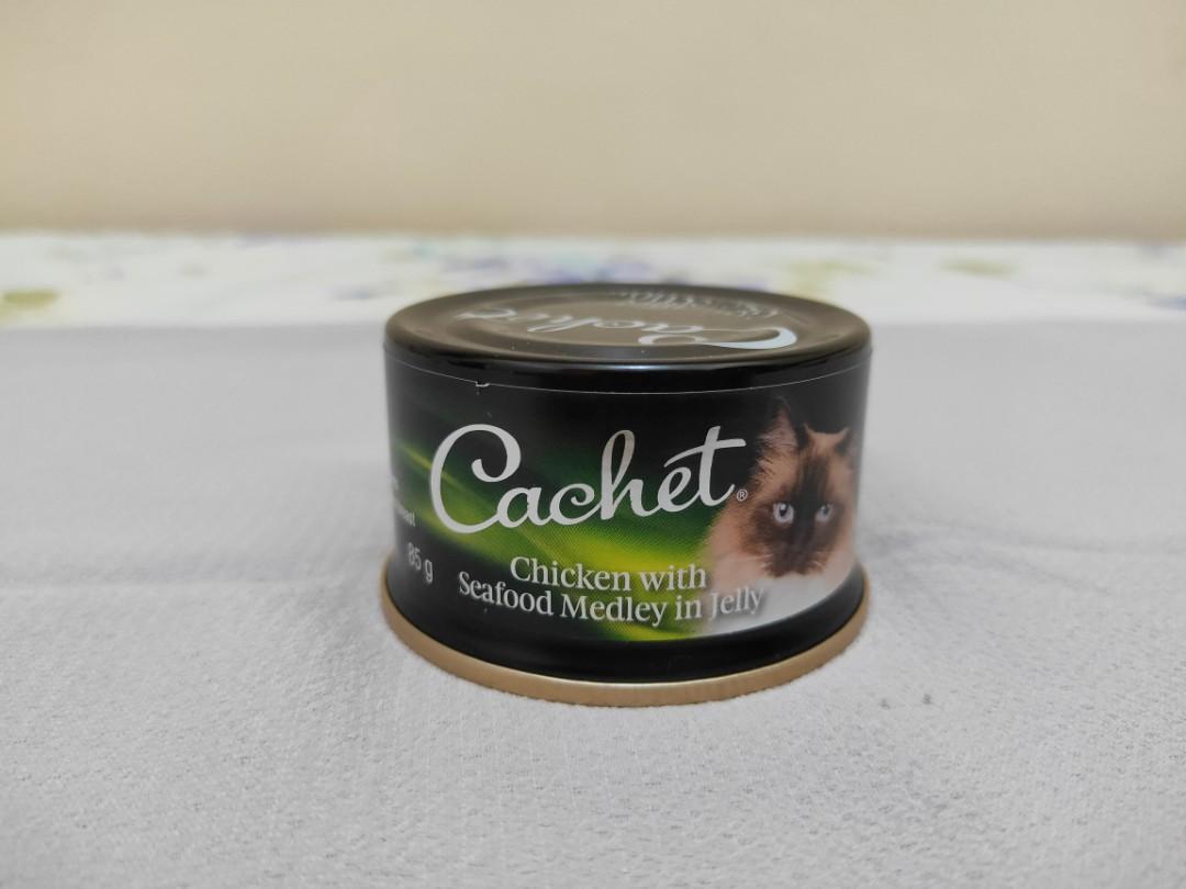 Cachet Gourmet cat food in small cans Pet Supplies Pet Food on
