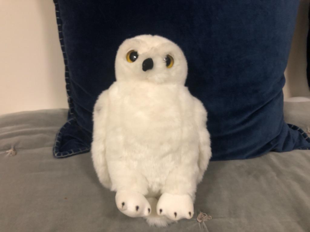 Hedwig soft toy tesco clearance