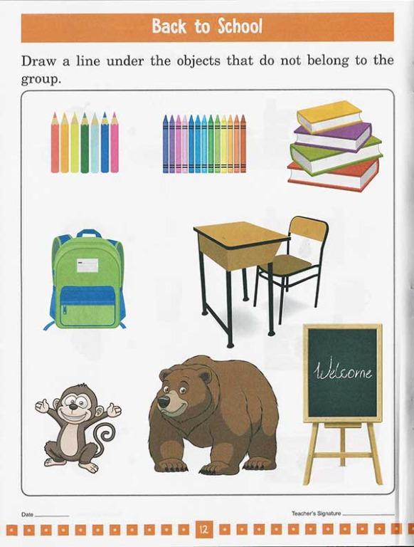 The Workbook Co. Basic Skills Sorting | English | Activity Book | Work ...