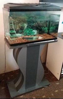 (Category: ) located in . Submitted by abbyy26 (Listing ID 1089641117, Image 1). Description: .