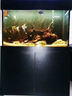 (Category: ) located in . Submitted by casey_carol (Listing ID 1089976565, Image 1). Description: .