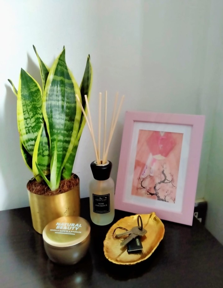 (Category: ) located in . Submitted by abbyrodez (Listing ID 1089926308, Image 1). Description: .
