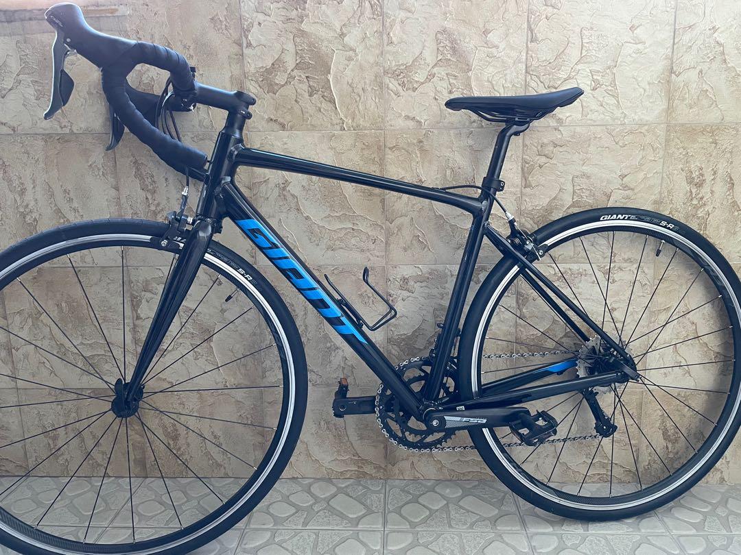 Giant Contend 2 2021