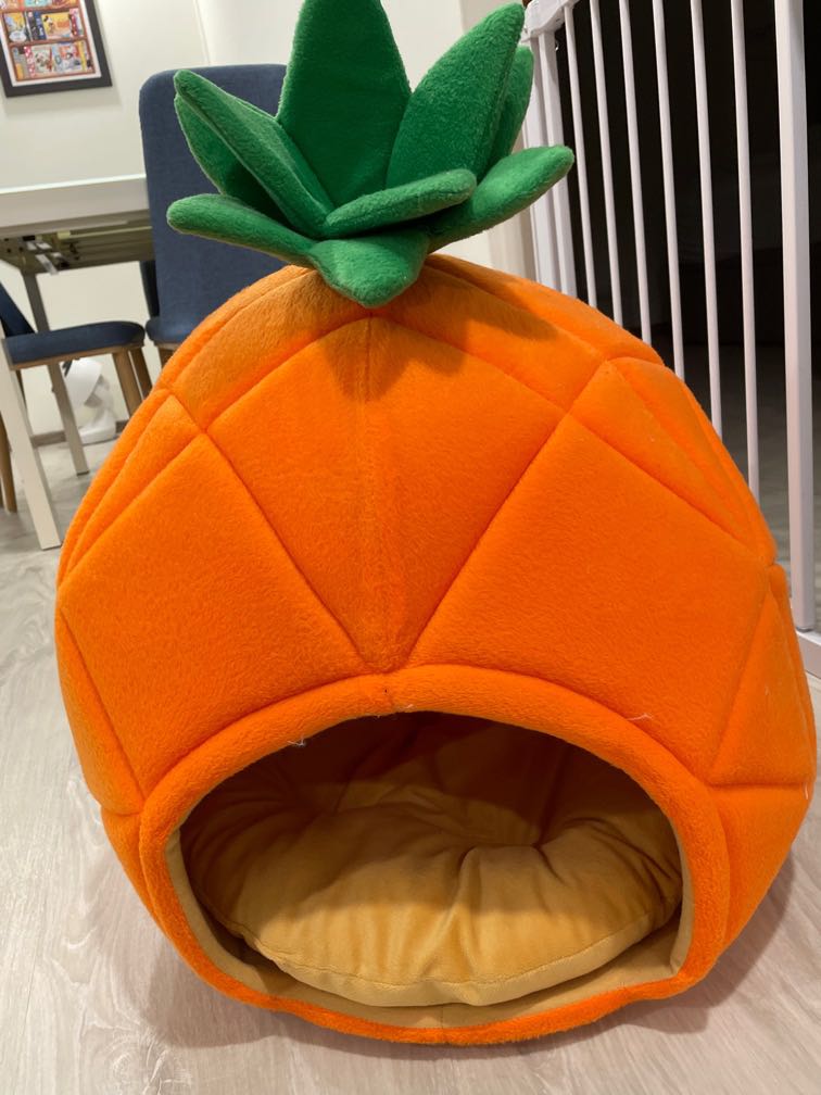 Pineapple dog house, Pet Supplies, Homes & Other Pet Accessories on
