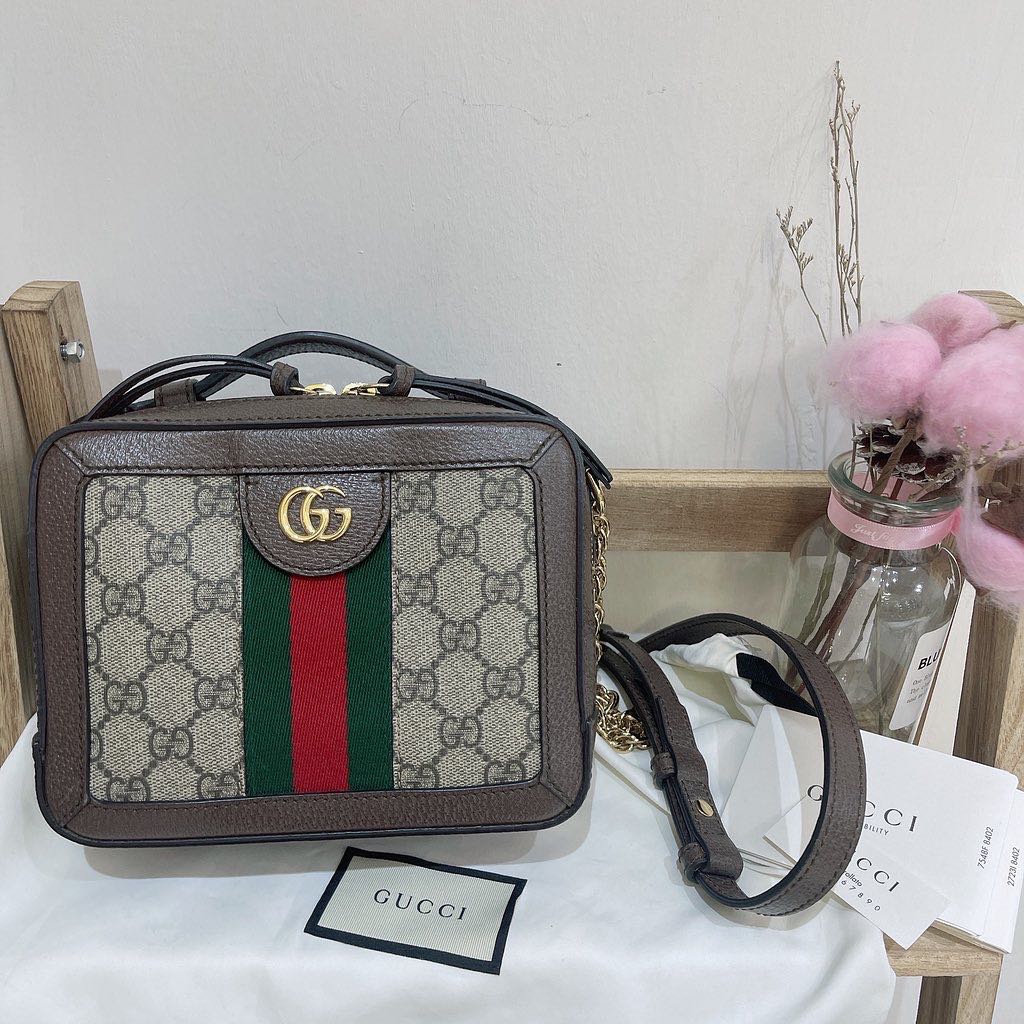Gucci ophidia vanity bag store