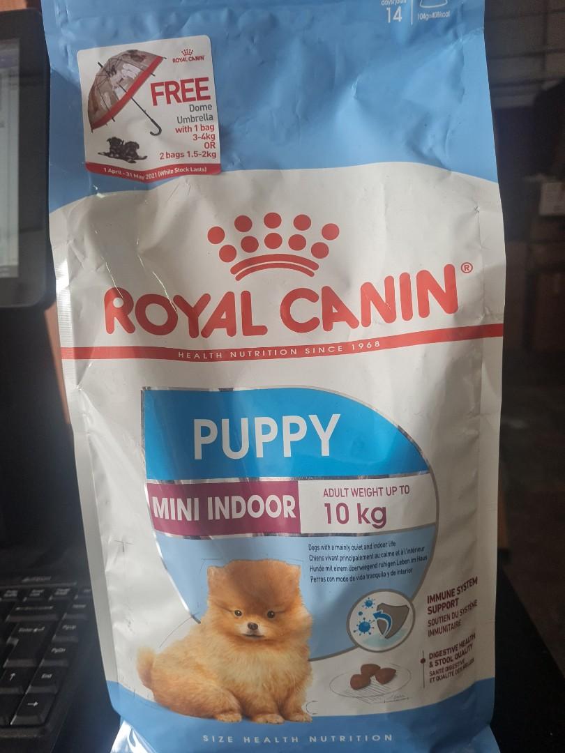 royal canin mini indoor puppy 1 5kg pet supplies pet food on carousell