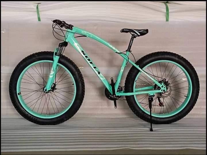SOFIA FAT BIKE Sports Equipment Bicycles Parts Bicycles on Carousell