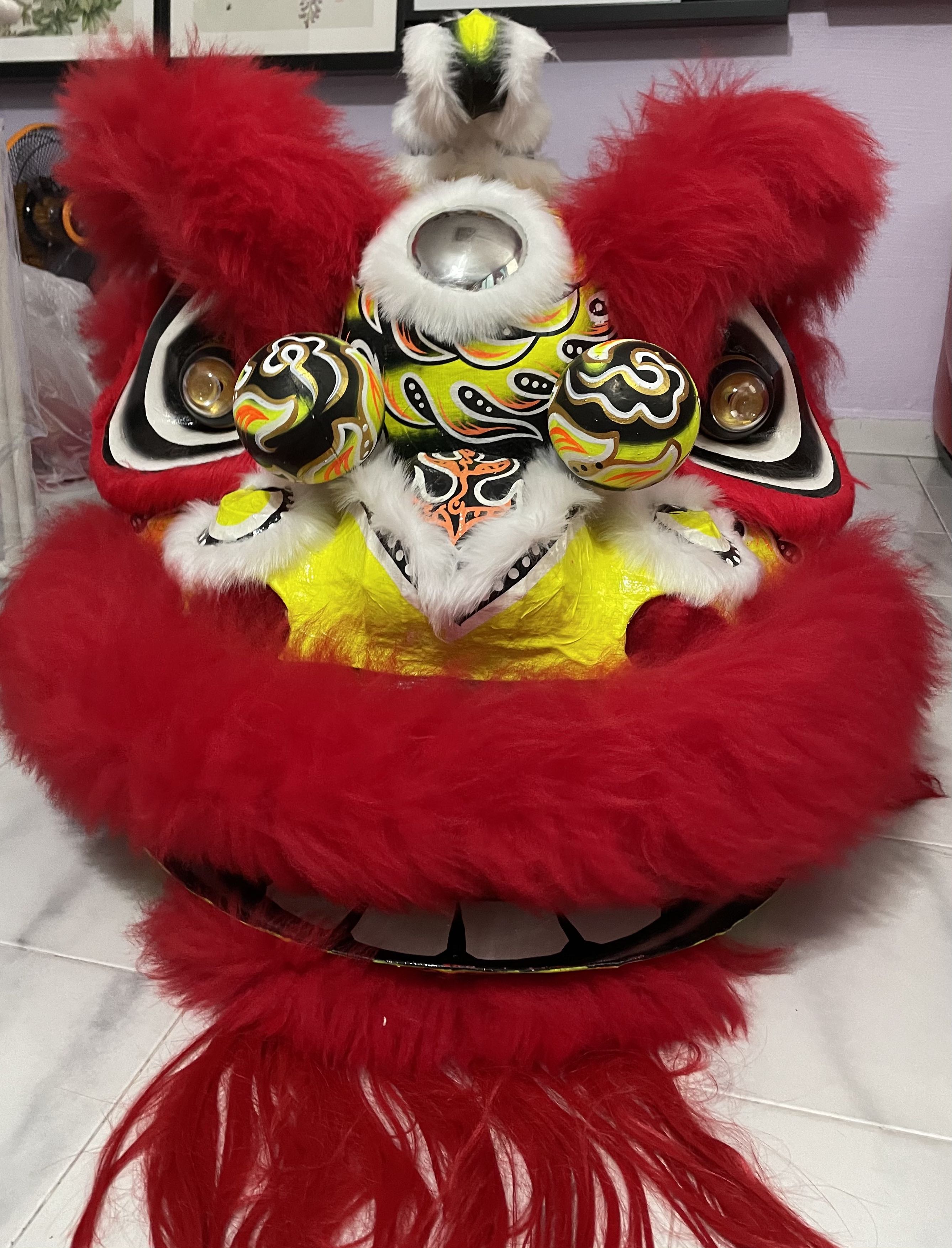 Lion dance costume store