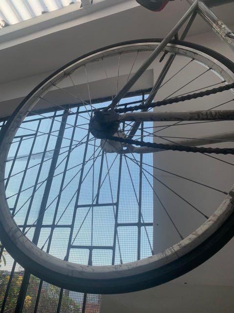 frame fixie alphalab