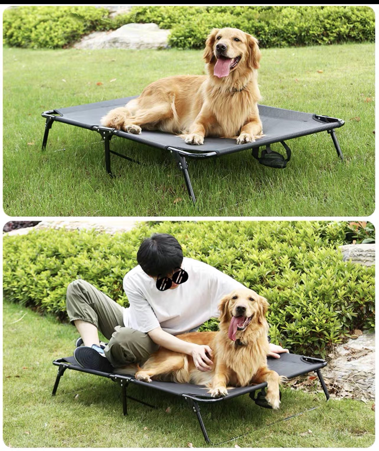 Foldable XL Size Elevated dog bed , Pet Supplies, Homes & Other Pet