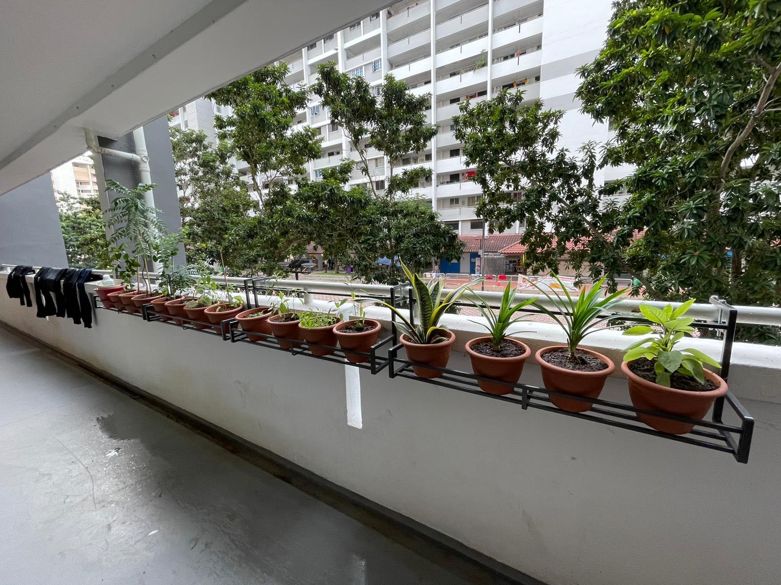 Modern Heavy Duty MIni Standard Plant rack balcony Display shelf for ...