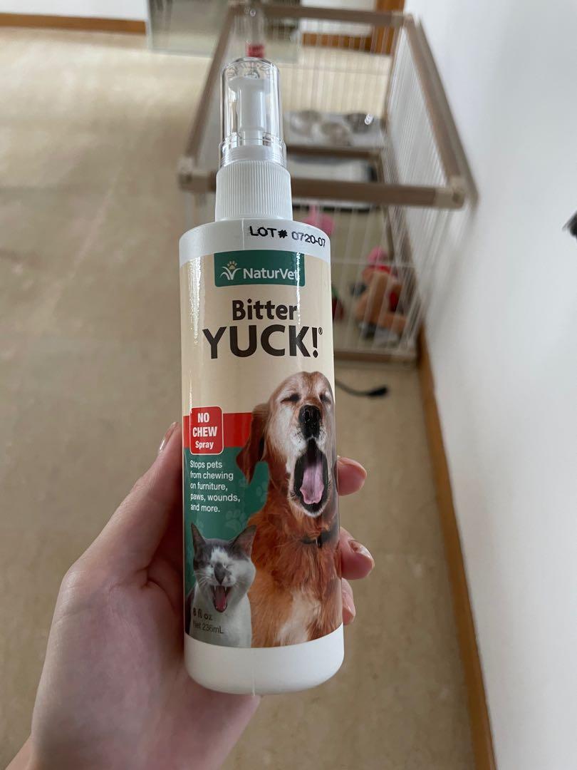Yuck dog top