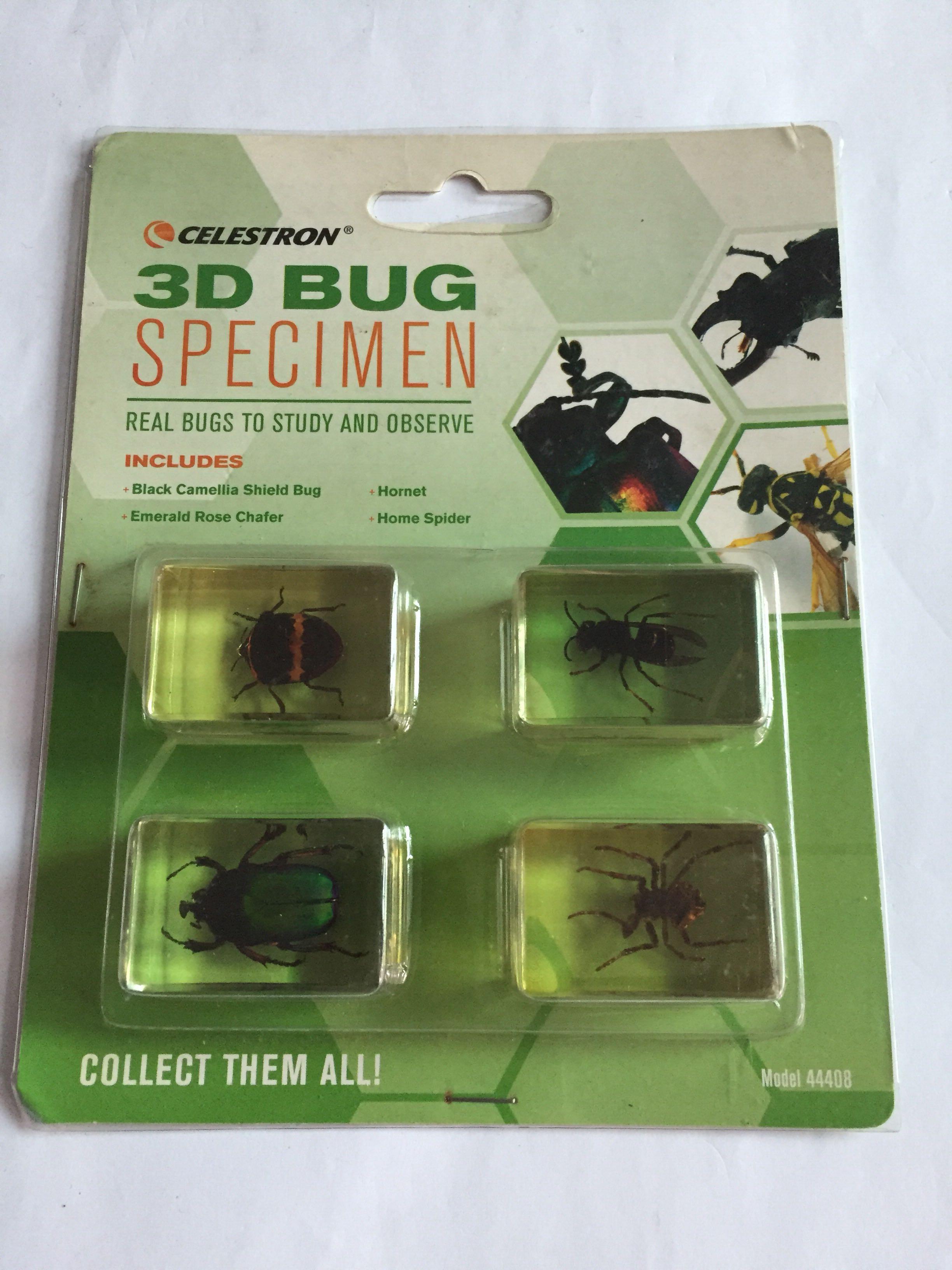 Real Bugs to study and observe (Category: Looking For) located in Pasay City. Submitted by redgiftshop (Listing ID 1090130421, Image 1). Description: collectibles includes: black camella shield Bug Emerald Rose Chafer , Hornet Home spider ditect bought in US product code: MBN .