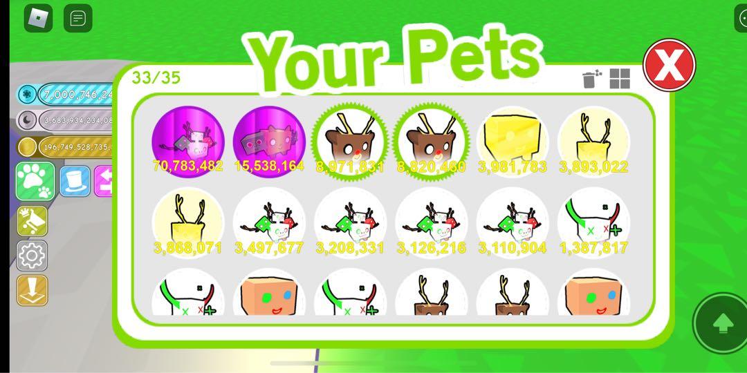 Roblox Pet Simulator Pet Video Gaming Gaming Accessories Game Gift Cards Accounts On Carousell - roblox pet simulator