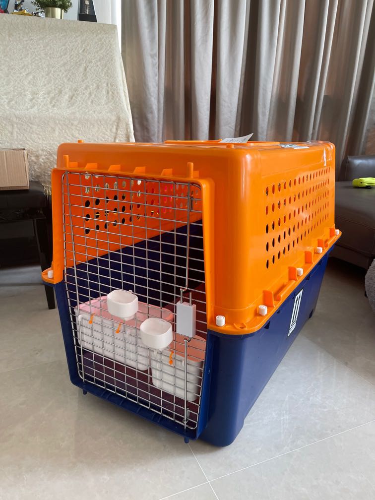 Dog Travel Crate, Pet Supplies, Homes & Other Pet Accessories on Carousell